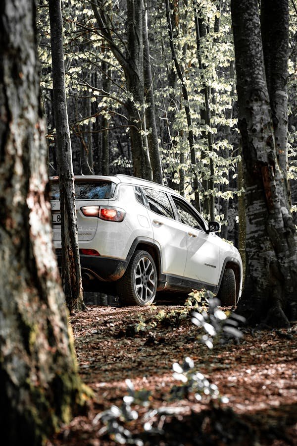 Assurance auto : ce qui change en avril 2025